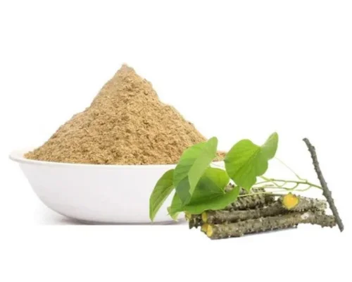 Giloy Extract / Powder
